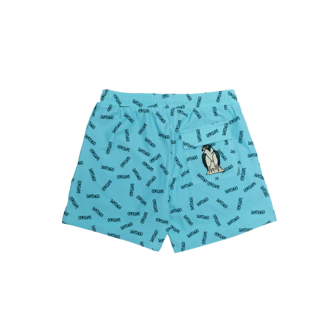 ADVENTURE SWIM SHORTS